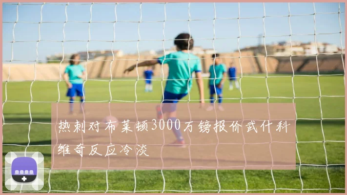 热刺对布莱顿3000万镑报价武什科维奇反应冷淡